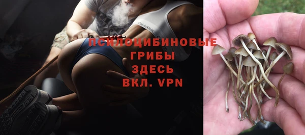 МДМА Волоколамск