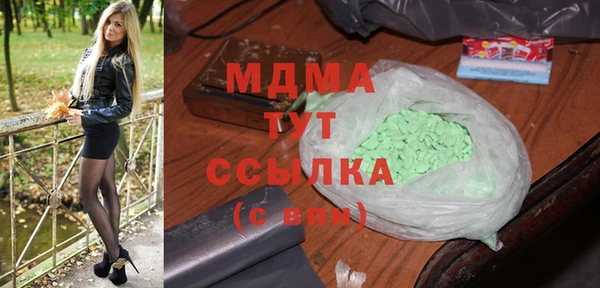 хмурый Верея